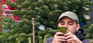 Львівський лісгосп оприлюднив ціни на новорічні ялинки 