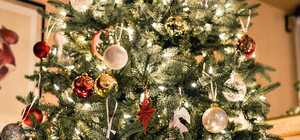 Сколько стоят елки на рынках Полтавы