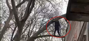 В Одессе работники ГСЧС сняли с дерева мужчину, которого возлюбленная не пустила через окно