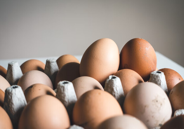 В Украине предлагают ввести новые правила для продажи яиц: что изменится. 