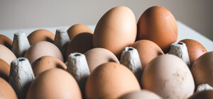 В Украине предлагают ввести новые правила для продажи яиц: что изменится