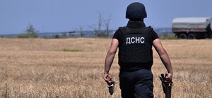 Стало известно, сколько взрывоопасных предметов уже обезвредили в Киевской области