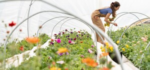 Посівний календар на березень 2023 року: сприятливі та несприятливі дні 