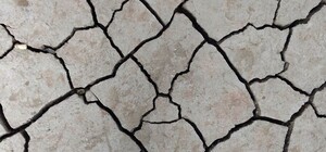 Самые сильные землетрясения могут быть в Одесской области и в Крыму