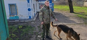 У Дніпропетровській області пес допоміг затримати злочинця