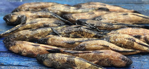 В Одесской области ввели запрет на вылов бычка