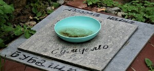 Салтівка, Нові Будинки, Павлове Поле: у Харкові виявили масові поховання тварин