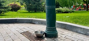 У саду Шевченка встановили напувалки для собак