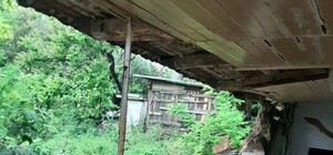 Под Запорожьем из-за ливня размокла и упала стена дома: пострадала женщина