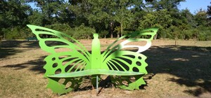 Проливные дожди или жара: каким будет июнь в Одессе