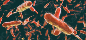 Одеські медики розповіли про те, чи загрожує Одесі холера