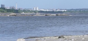 В Запорожье падает уровень кислорода в днепровской воде: чем это опасно