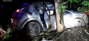 ДТП в Павлоградском районе, пострадали четыре человека