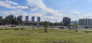 В Киеве впервые применили инновационный способ для полива деревьев