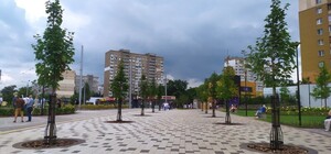 В Киеве на месте МАФов создали новый сквер