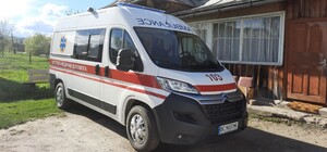 На Львівщині гадюка вкусила 4-річну дитину 