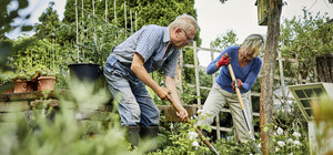 Посівний календар на вересень 2023: сприятливі й несприятливі дні для роботи на городі і в саду