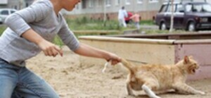 У Дніпропетровській області дівчина знімає на відео свої знущання з домашніх тварин