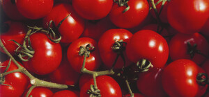 Де на цих вихідних у Києві пройдуть продуктові ярмарки. Адреси