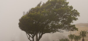 У Києві оголосили 1 рівень небезпеки: що відомо 