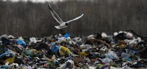 Одесская свалка 