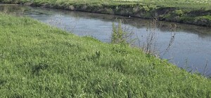 В Одесской области в реке утонула женщина