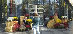 Витрины одесских магазинов и кафе украсили город к Хэллоуину (фото)