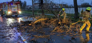Из-за шквального ветра в Киеве уже двое погибших и 7 пострадавших