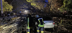 Деревопад и обесточенные населенные пункты: к каким последствиям привела непогода в Одесской области