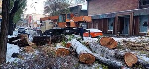 Непогода в Одесской области: какая обстановка на утро 28 ноября 