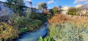 В Одессе канализационная станция загрязняет пляж и Черное море