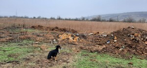 В Одесской области обнаружили стихийную свалку