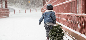 Куди нести ялинку після новорічних свят в Одесі: адреси