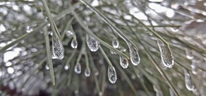 На Одесу насуваються морози