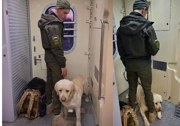 Военного со служебным лабрадором не пустили в салон поезда: что говорят в Укрзализныце. 