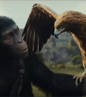 Рейтинг кинопремьер: что смотреть в кинотеатрах с 9 по 16 мая