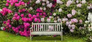 У середмісті Львова з'явиться новий сквер 