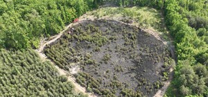 На місці згорілого внаслідок падіння Shahed на Львівщині висадять новий ліс 