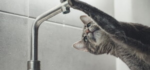 Отключение воды должникам в Днепре: когда и можно ли избежать