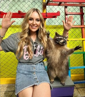 Що робити у Львові, коли падає дощ: 7 варіантів для сімейного відпочинку 