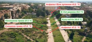 В Запорожье измеряли температуру асфальта и в тени деревьев