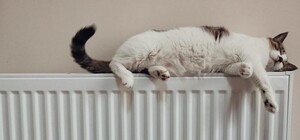 В Днепре решают вопросы теплоснабжения жилого массива Приднепровск