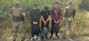 Прятались в подсолнечниках: в Одесской области пограничники задержали нескольких уклонистов