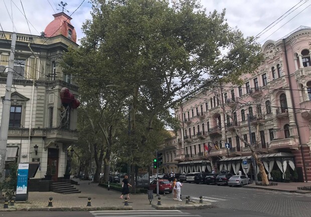 Новые названия топонимов: кто такая Нина Строкатая и почему в честь нее переименовали улицу Бунина в Одессе