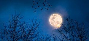 Місячний календар: коли повний Місяць і молодик у вересні 2024