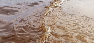 В Одесі почервоніло море: що це означає і чи можна купатися