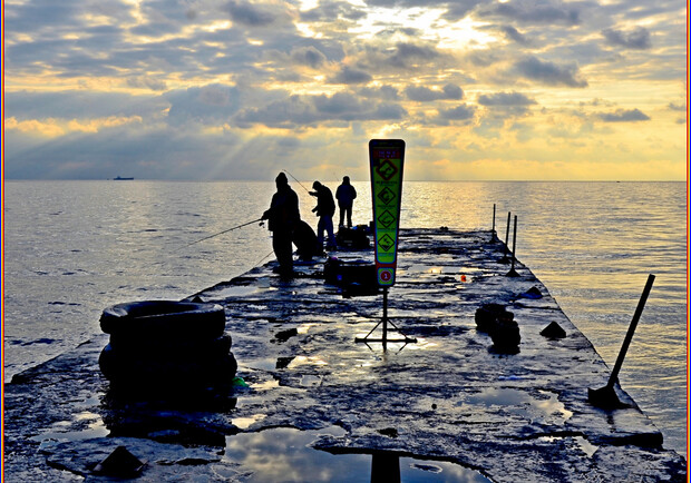 MoreСобакFest и презентация книги 