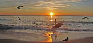 В Одессе побит почти столетний температурный рекорд