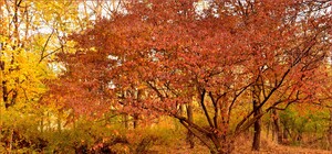 Яка погода буде в Одесі на цих вихідних