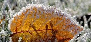 Яка погода буде в Одесі на цих вихідних 